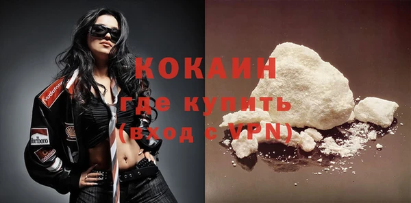 шишки Абаза
