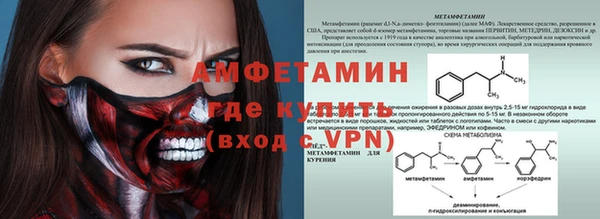 шишки Абаза