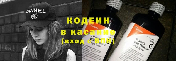 шишки Абаза