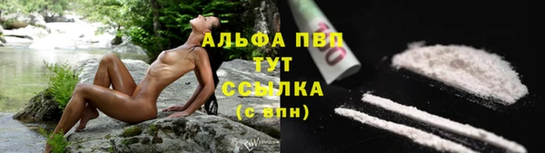 шишки Абаза
