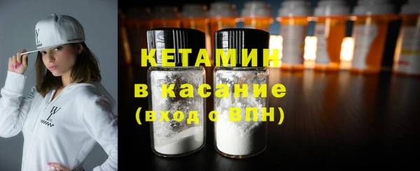 шишки Абаза