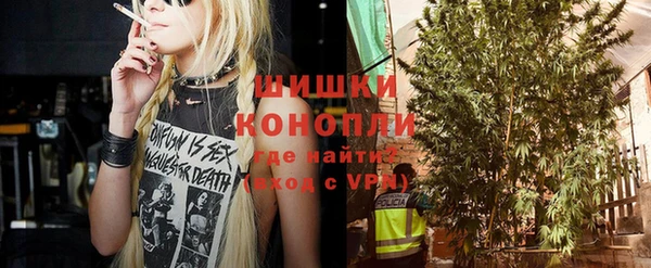 шишки Абаза