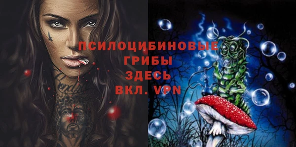 шишки Абаза