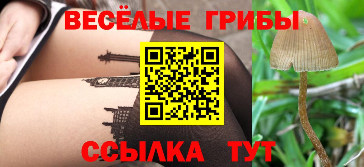 Галлюциногенные грибы мухоморы Ханты-Мансийск